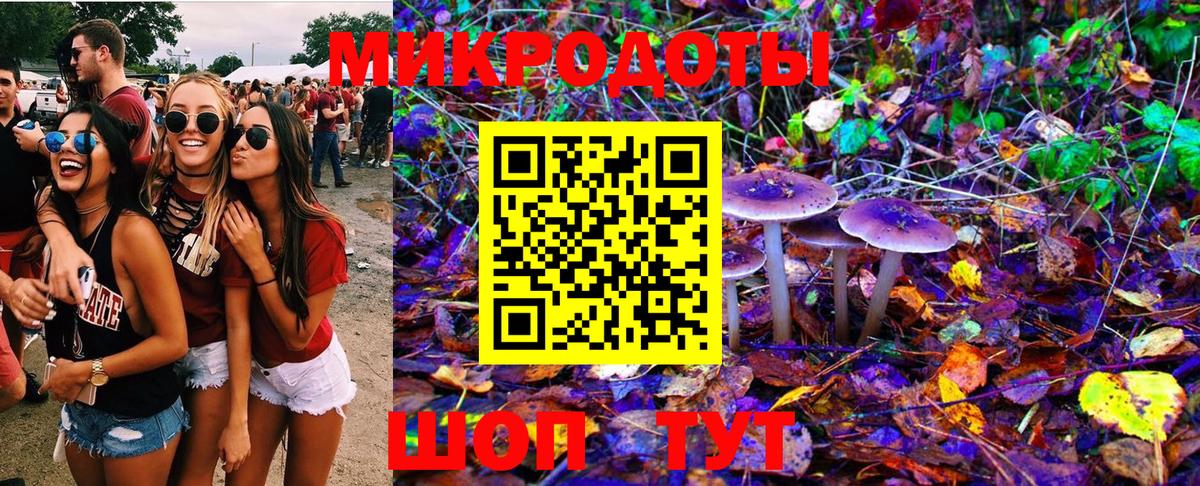 Галлюциногенные грибы Psilocybine cubensis Ижевск
